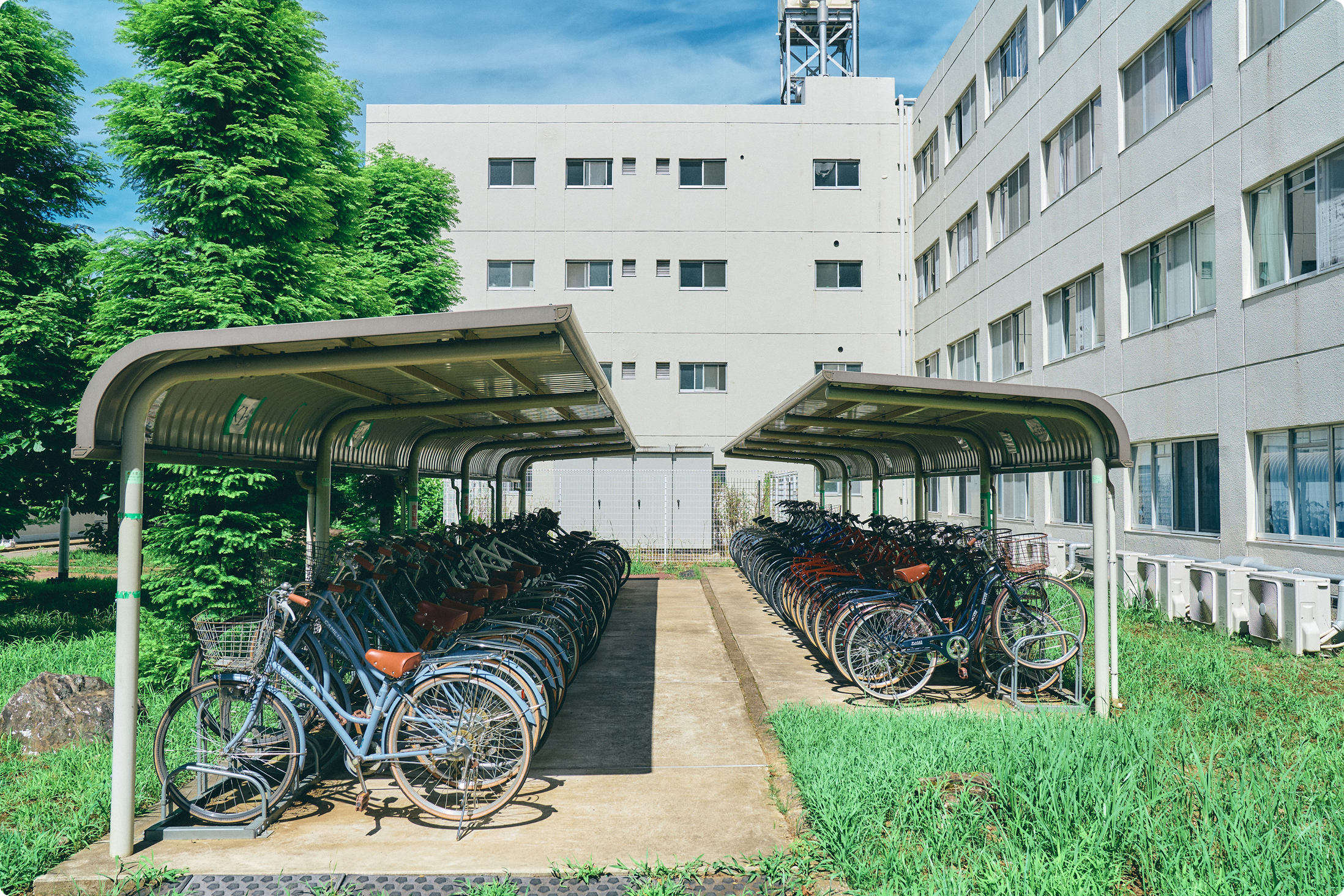 学寮貸し出し自転車(50台所有)
