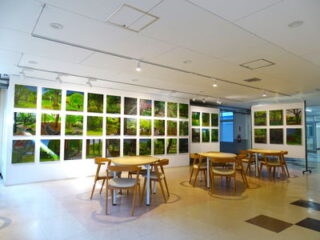 2023年10月「中学3年 赤塚公園の風景画」