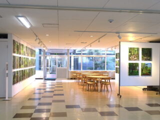 2023年1月・2月のアートギャラリー展 中学3年生