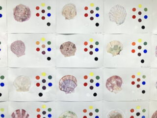 2023年7～8月 48回生（中学1年）「ちり紙たまご」「ホタテ」